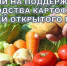 Минсельхозпрод РД осуществляет прием документов по предоставлению субсидии на поддержку производства картофеля и овощей открытого грунта - Казбековский район
