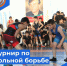 В Казбековском районе состоялся турнир по вольной борьбе памяти погибших казбековцев на СВО - Казбековский район