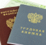 Мигранты обязаны уведомить МВД о трудоустройстве в течение двух месяцев - Казбековский район