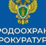Махачкалинская межрайонная природоохранная прокуратура разъясняет новые обязанности владельцев земельных участков - Казбековский район