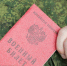 Военная служба по призыву: что важно знать будущему призывнику - Казбековский район