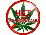 Напоминаем о недопустимости культивирования наркосодержащих растений!