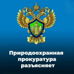 Махачкалинская межрайонная природоохранная прокуратура разъясняет изменения в порядке проведения государственной экологической экспертизы